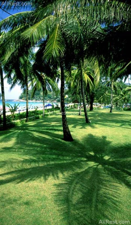 Kata Thani Beach Resort 14
